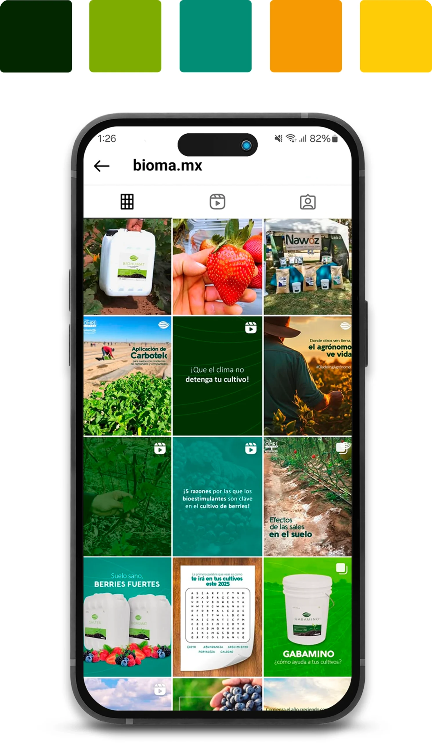 Feed de Instagram en celular
